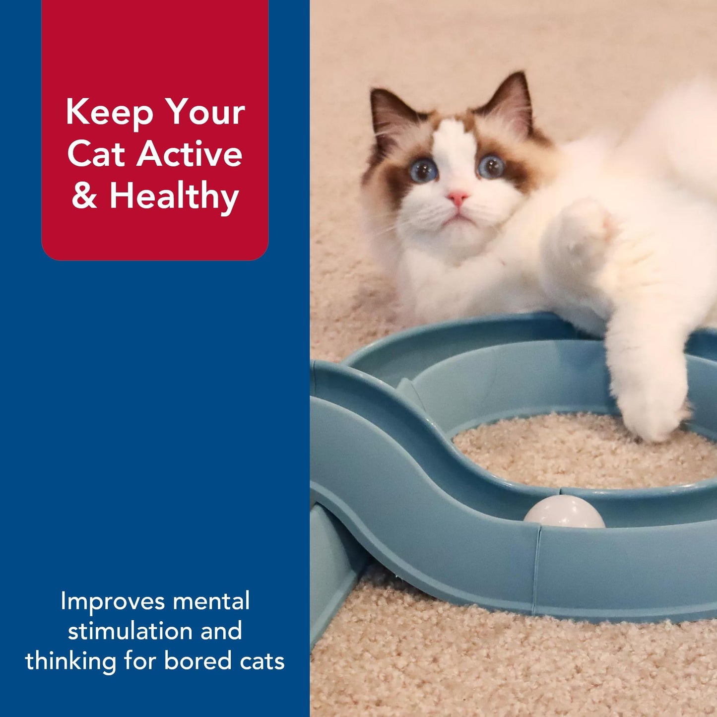 Coastal Pet Turbo Track Cat Toy Cat Ball Toy Racetrack Easy Ball