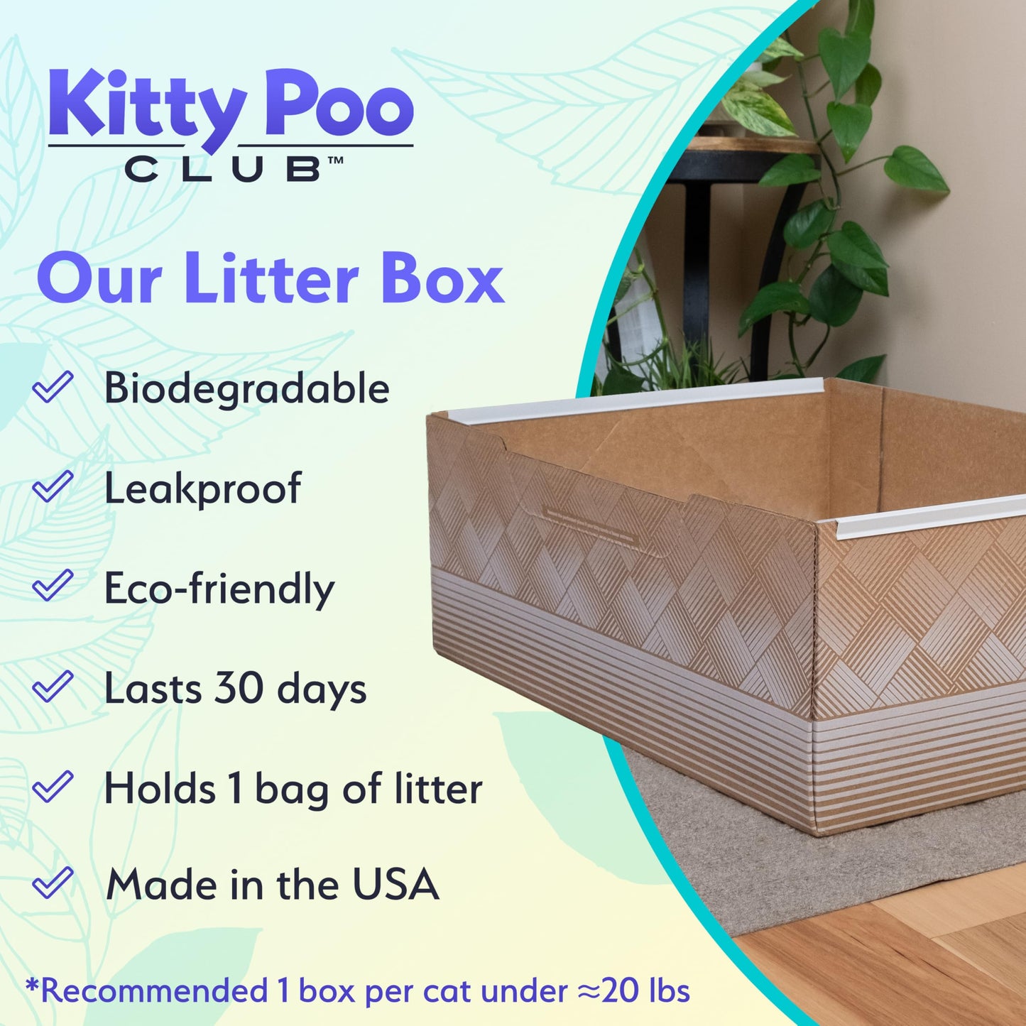 Leakproof Disposable 2-Pack Cat Litter Box Only Made in The USA Box