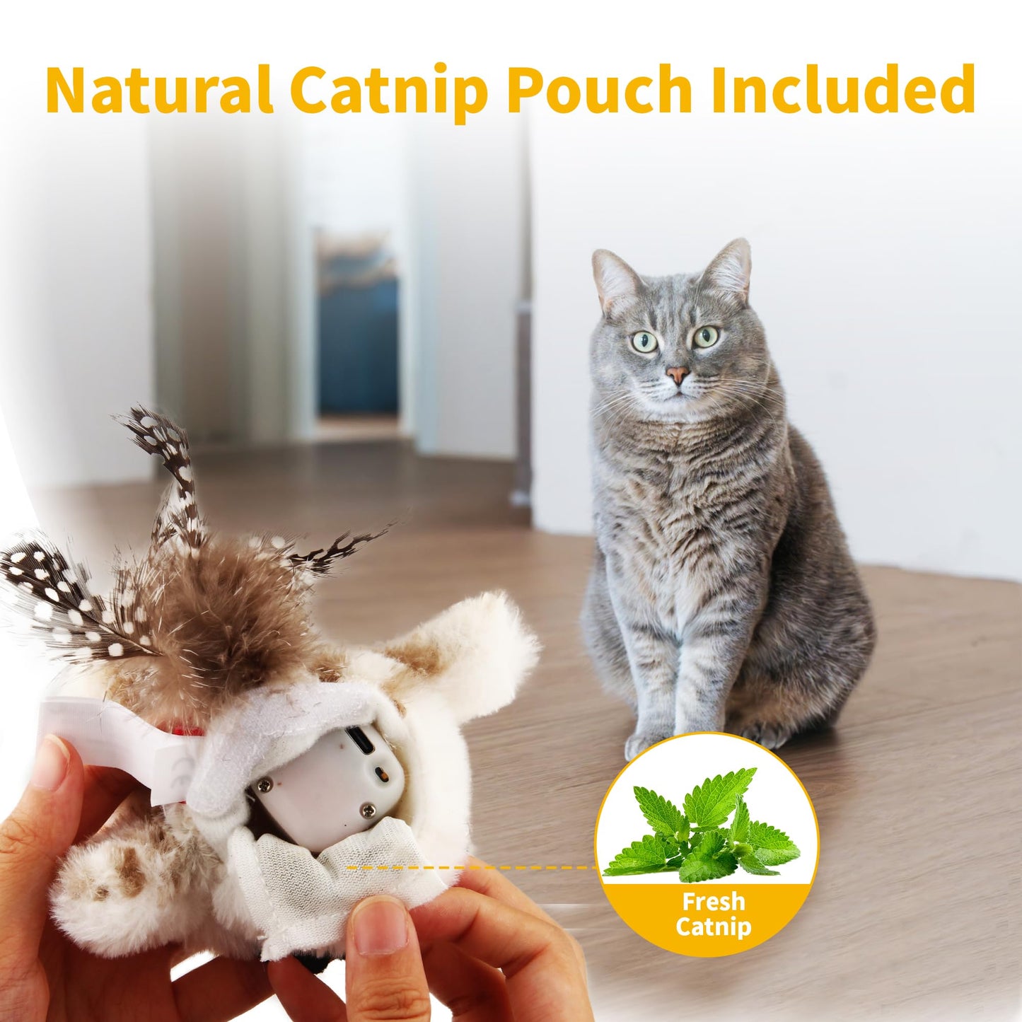 Gigwi Interactive Cat Toys for Indoor Cats, Flapping and Catnip