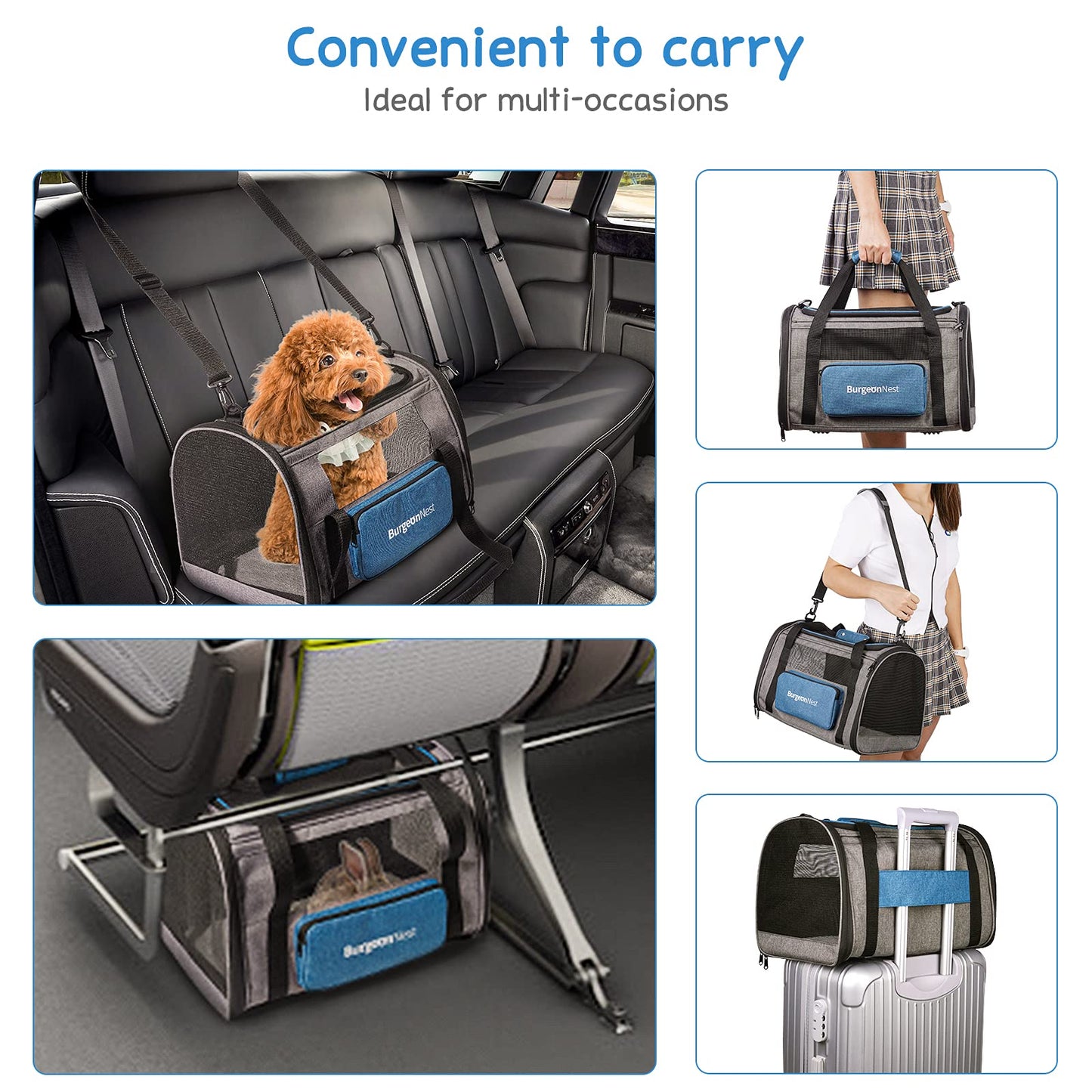 BurgeonNest Cat Carriers for Small Cats Under 15, Medium Puppy Bag