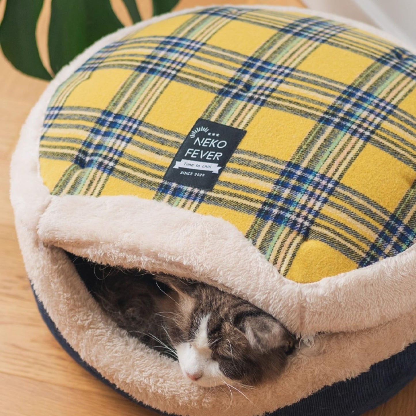 Cat Cave Bed Enclosed Self Warming Hideaway with Detachable Lid Mat