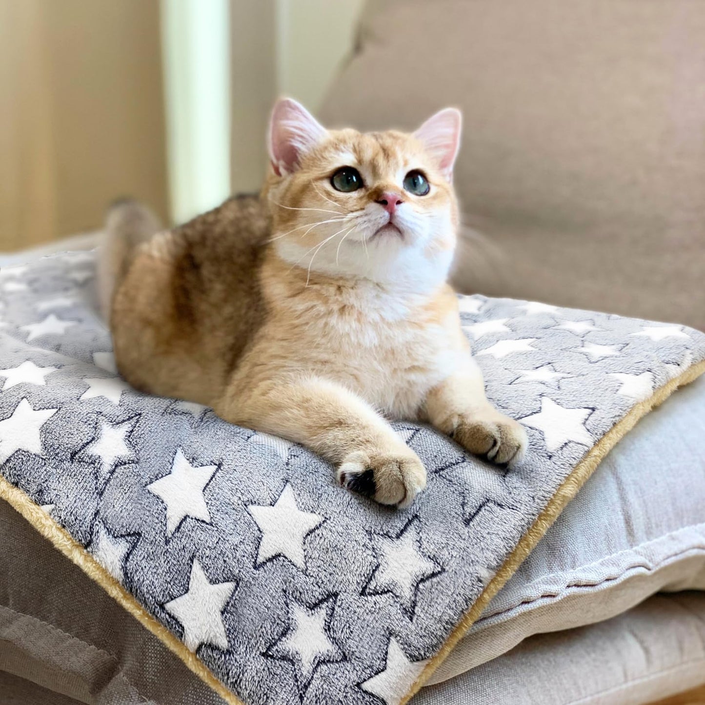 Tierecare 2 Pack Cat Blanket for Indoor Cats Ultra Soft and Warm Bed