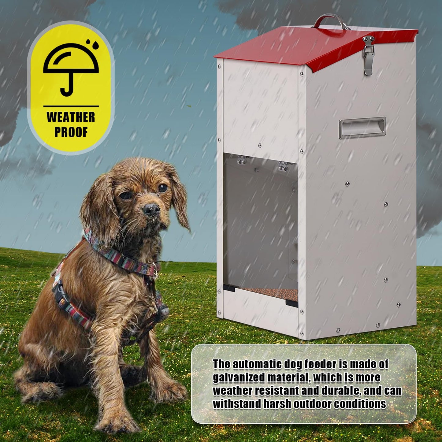 KHEARPSL Galvanized Automatic Dog Feeder Large Breed Dog Dispenser