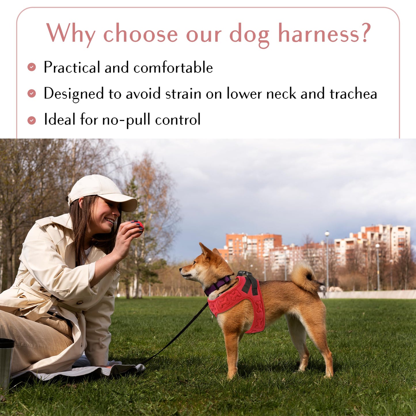 No Pull Dog Harness for Small, Medium Large Dogs Soft Padded Leash