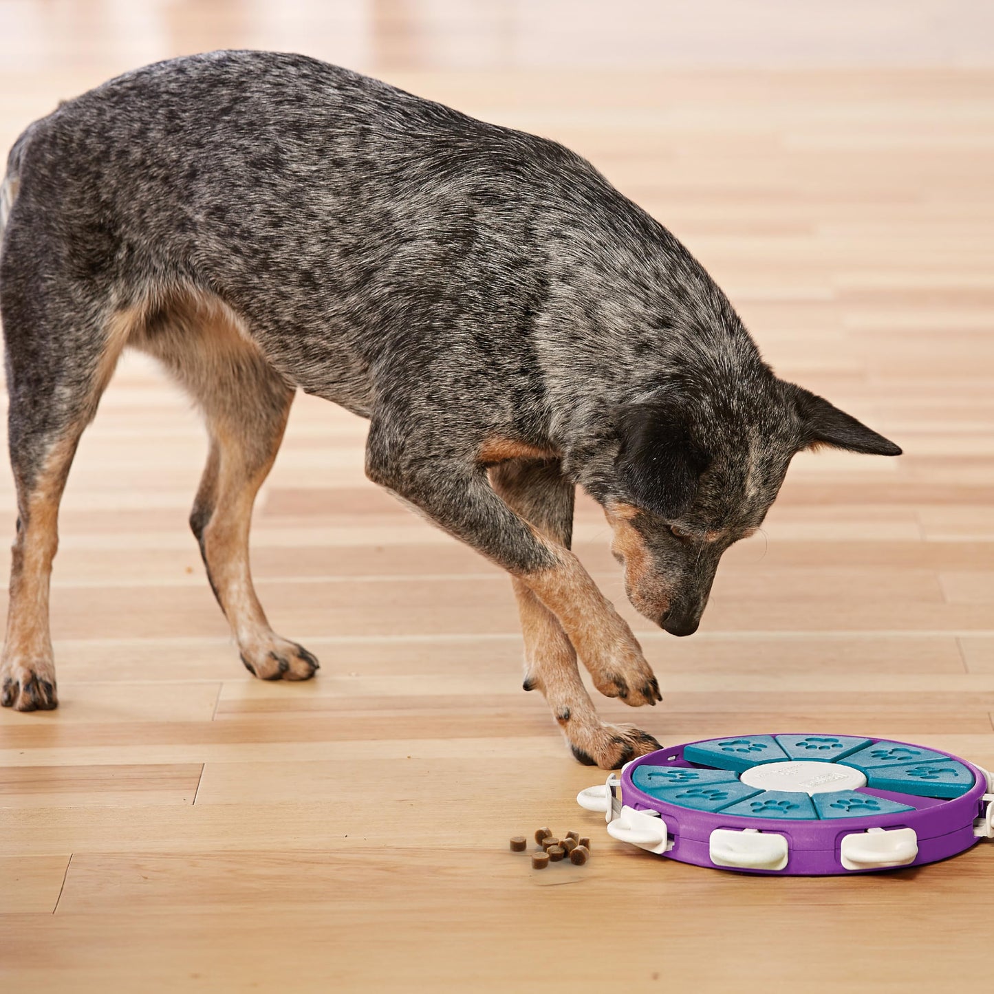 Outward Hound by Nina Ottosson Dog Twister Interactive Treat Puzzle