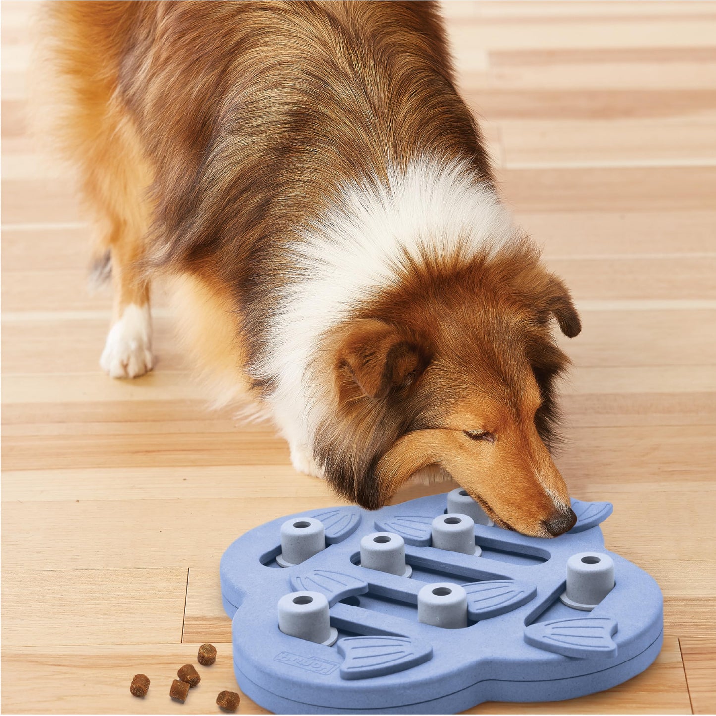 Outward Hound by Nina Ottosson Dog Hide N' Slide Interactive Treat Toy
