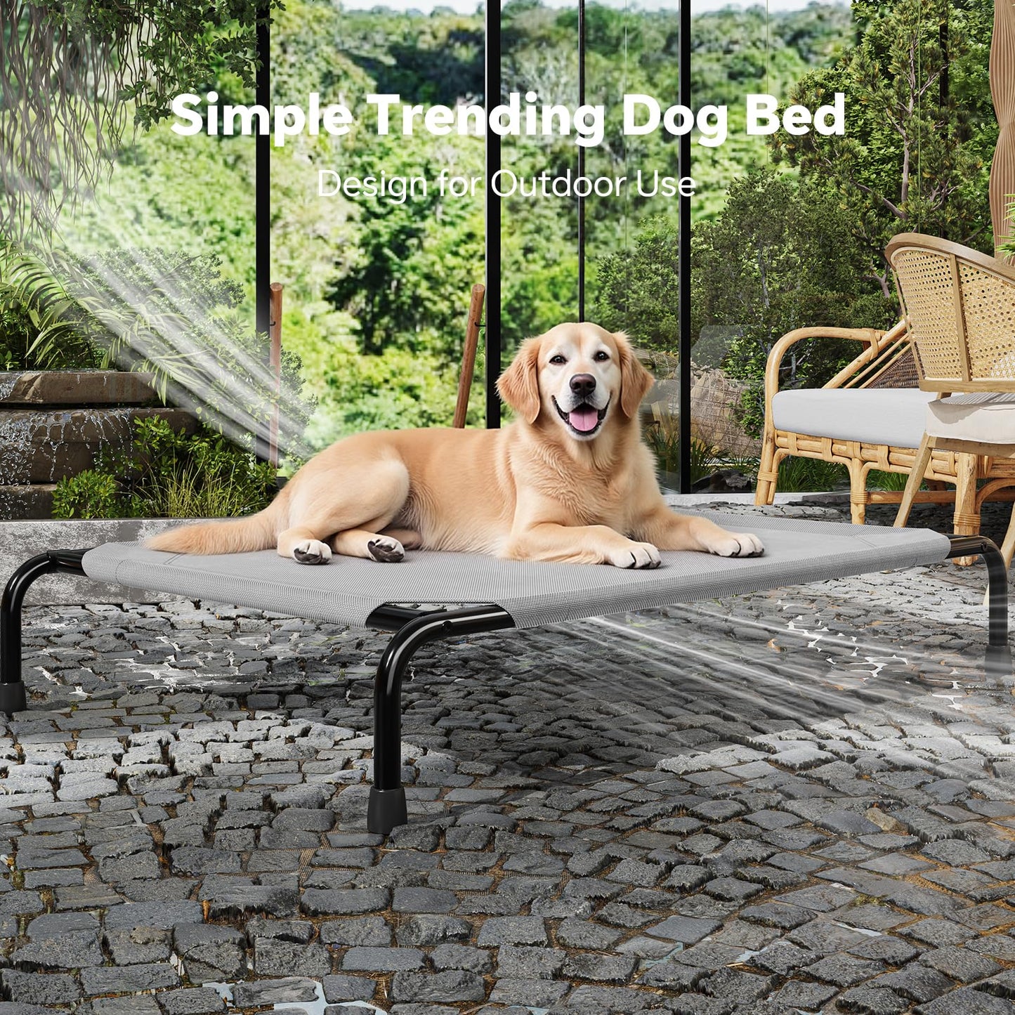 Simple Trending Raised Dog Bed for Large Dogs, Waterproof XL Dog Bed