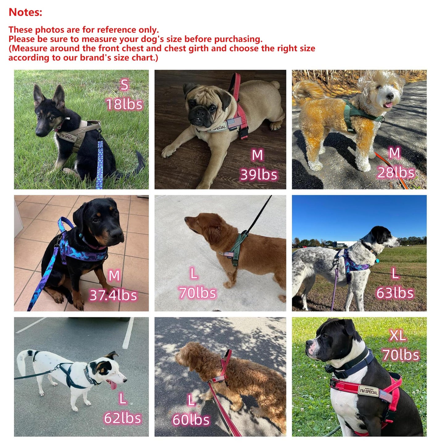 Annchwool No Pull Dog Harness with Soft Padded Harness
