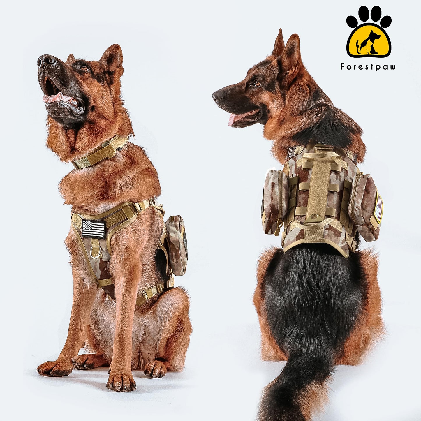 Forestpaw Tactical Dog Harness Tactical Dog Collar with Bungee Leash