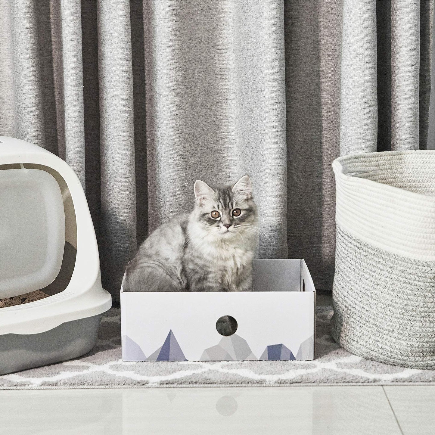 Conlun Cat Scratcher Box with Heavy-Duty Double-Sided Cardboard Pad