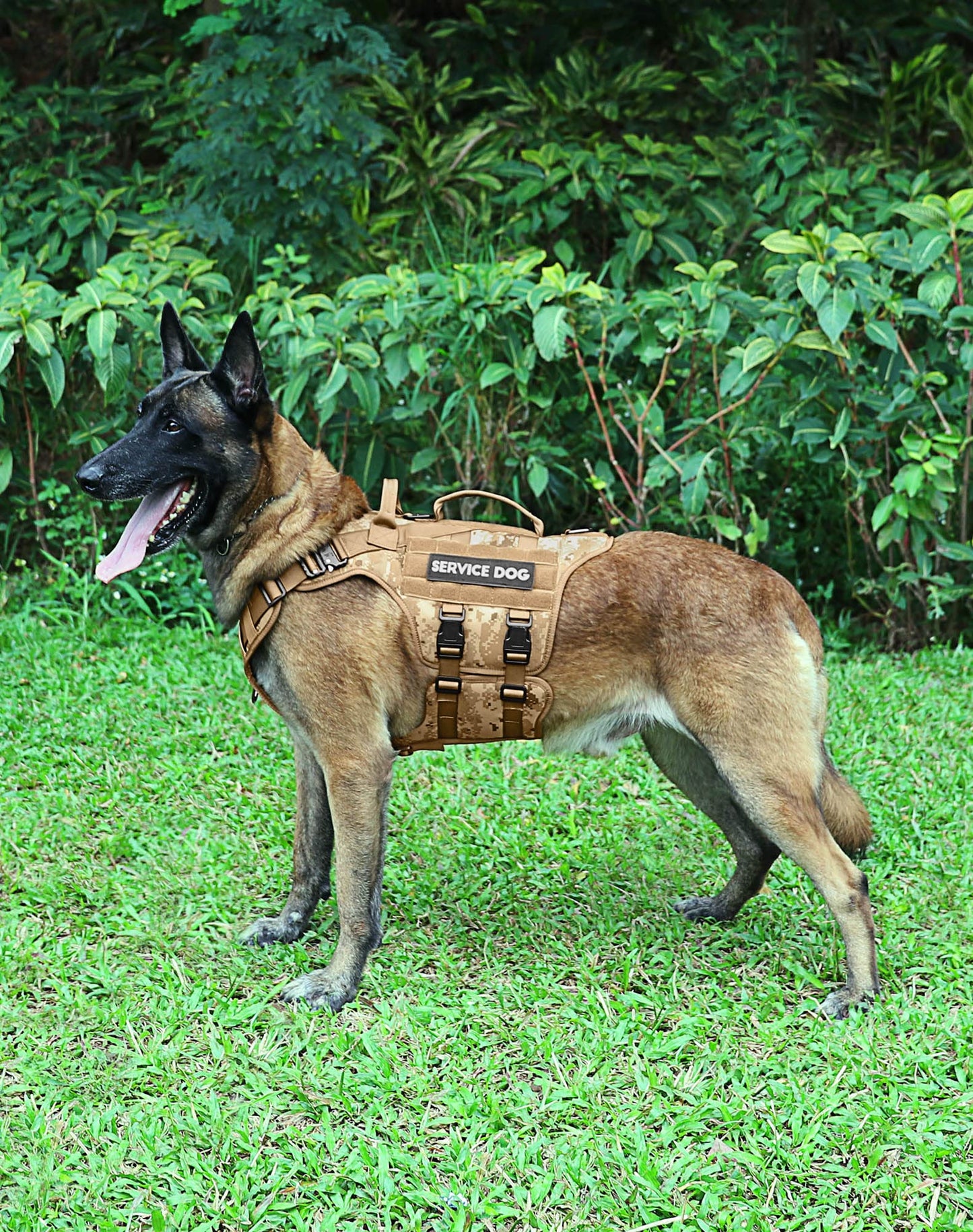 Tactical Dog Harness PETNANNY Dog Harness Service Dog Vest