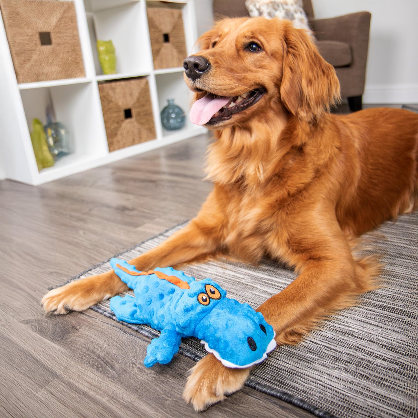 goDog Gators Squeaky Plush Dog Toy with Chew Guard Technology, Plush