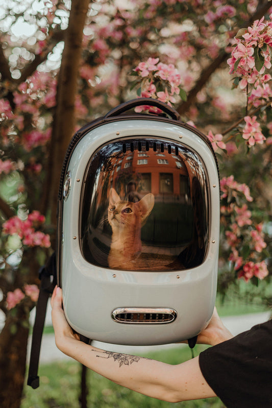 How to Choose the Right Pet Carrier for Travel