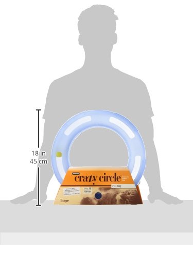 Fat Cat Crazy Circle Interactive Cat Toy