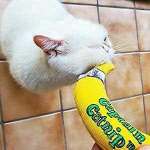 Captain Catnip Cat Banana Toy, Kitten Interactive Toy, Fun Catnip