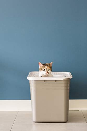 Petmate Enclosed Cat Litter Boxes with Hinged Lid and Wide Top Box