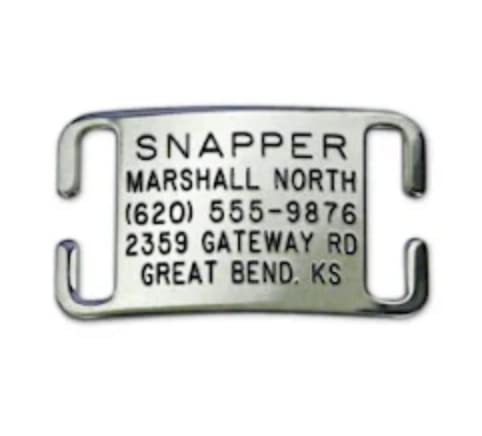 Boomerang Tags Dog Tag Lasts Your Pets Lifetime Personalized Collar