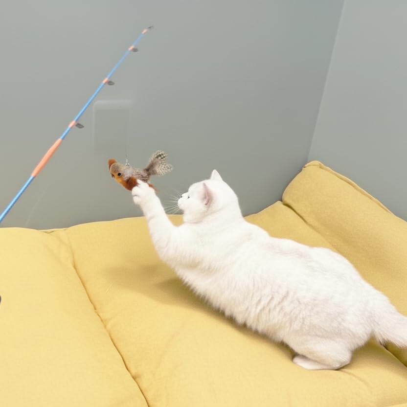 AGGER Cat Casting Fishing Pole Toy, Cat Casting Toy Set, Set