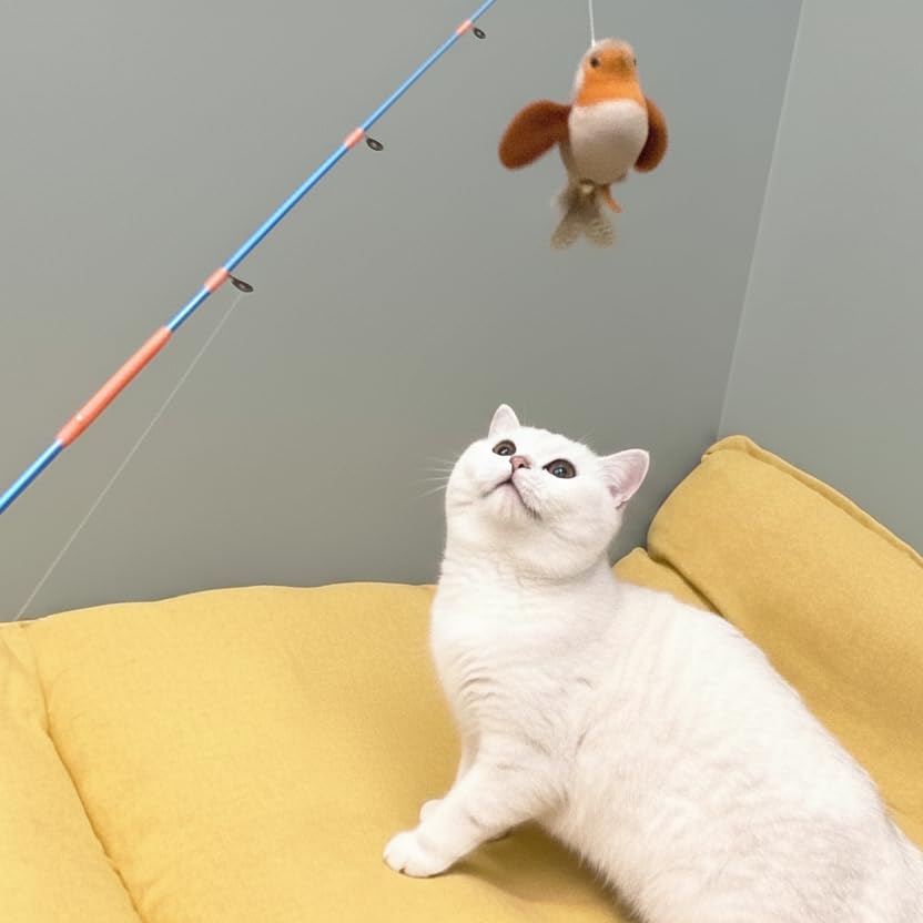AGGER Cat Casting Fishing Pole Toy, Cat Casting Toy Set, Set