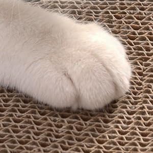 FluffyDream Cat Scratcher Cardboard Lounge Bed, Cat Scratching Pad