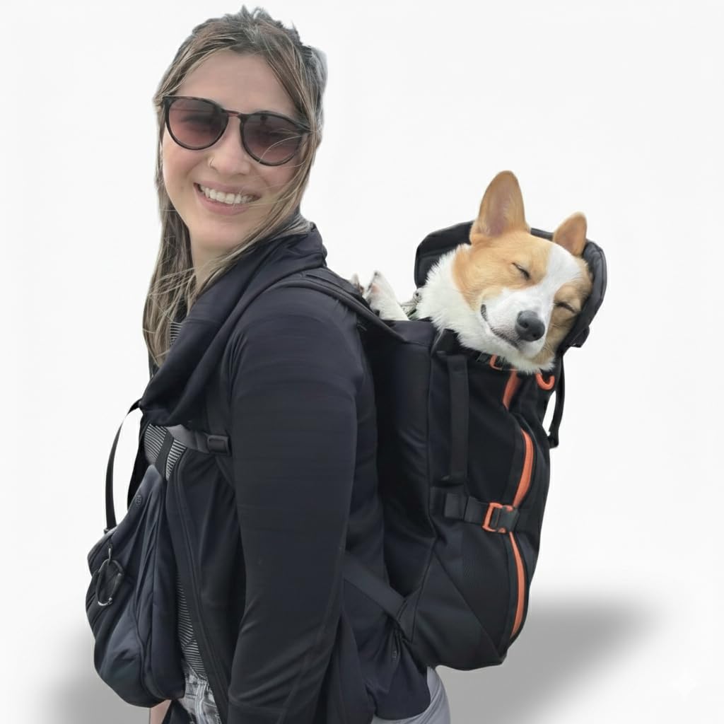 Maxine One Dog Backpack Carrier for Medium Dogs by Little Carrier