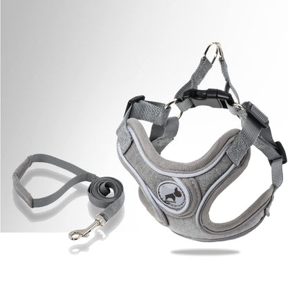 Dog Harness with Leash Set, No Pull Adjustable Step in Dog Collars Set