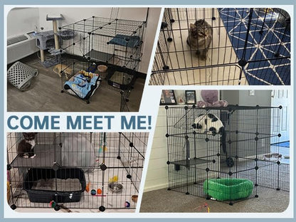 Oneluck 3-Tier Cat Cages Indoor Enclosure DIY Cat Playpen Enclosure