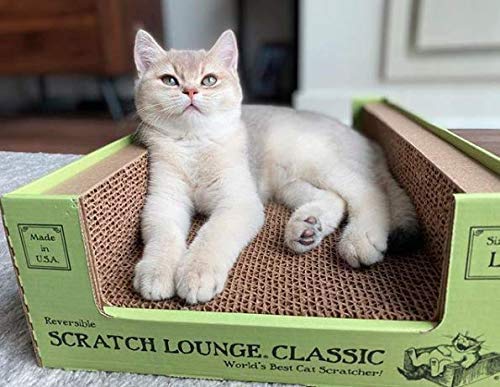 The Original Scratch Lounge XL Worlds Best Cat Scratcher Scratcher