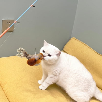 AGGER Cat Casting Fishing Pole Toy, Cat Casting Toy Set, Set