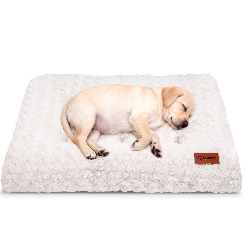 Dog Bed Crate Pad Rosette Pattern Velvet Pet Bed Anti-Slip Comfy Bed