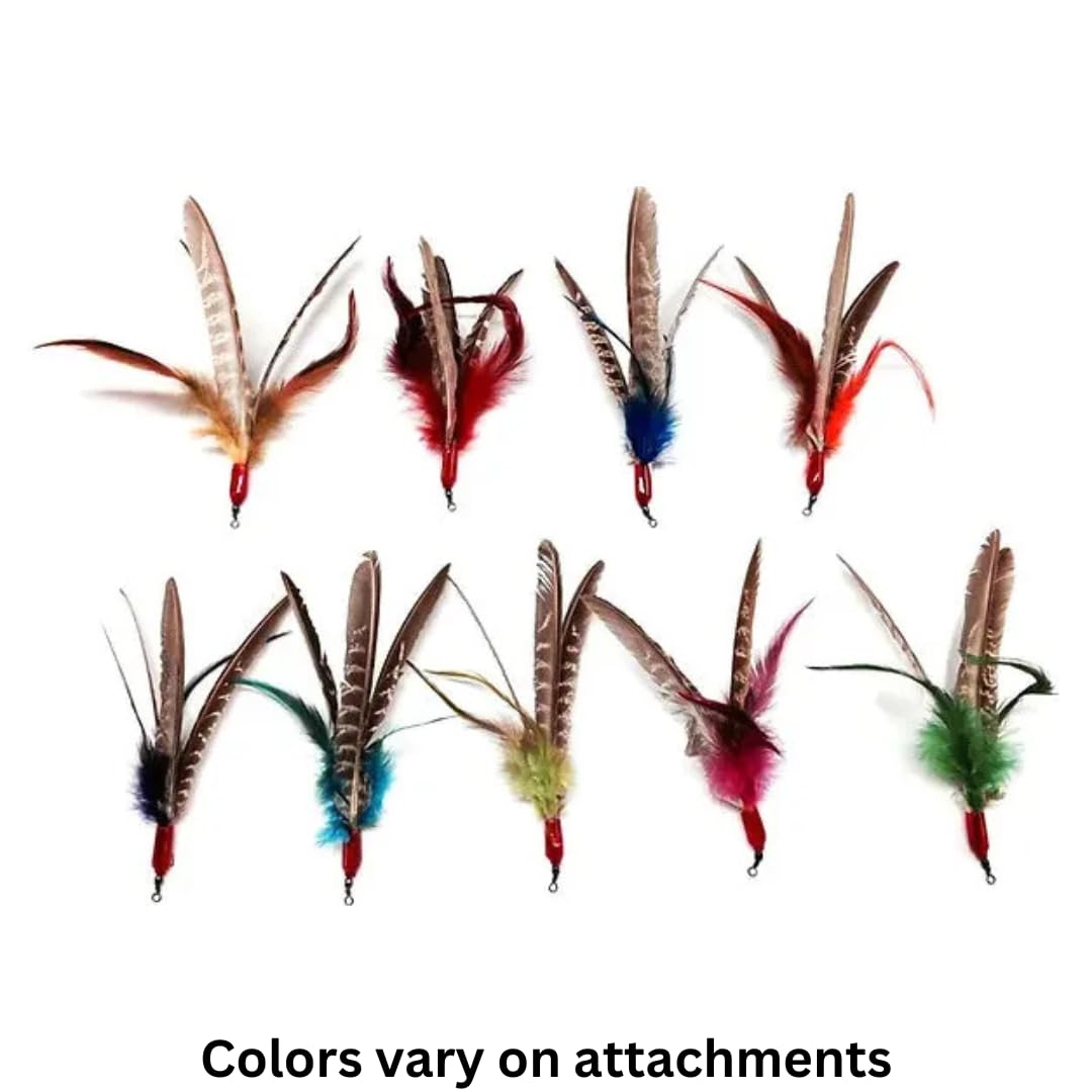 GoCat Da Bird Rod and Feather Cat Toy, Handmade in The USA (1 Feather