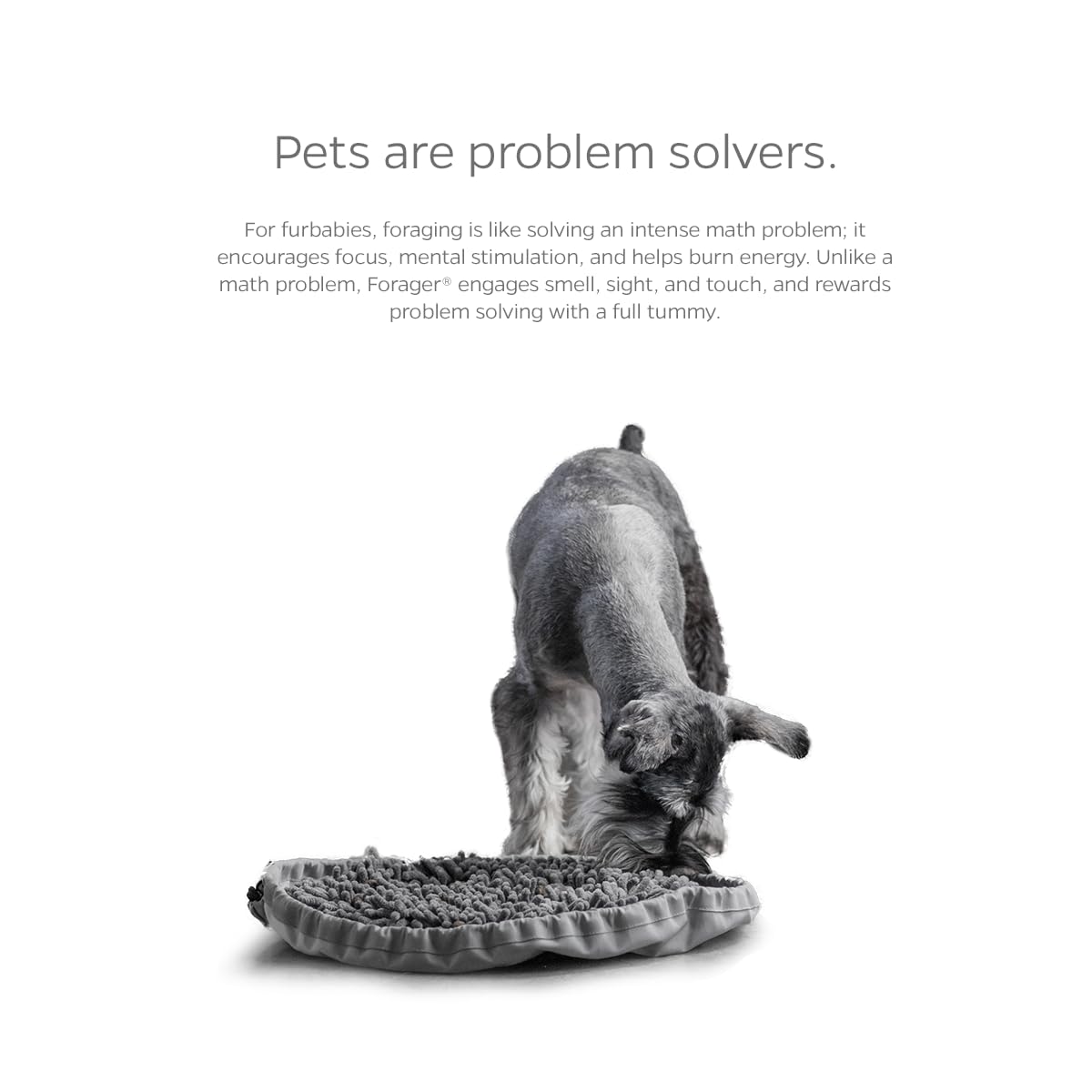 Pet Parents Forager Bowls, Slow Feeder Dog Bowls with SoftSnout Mat
