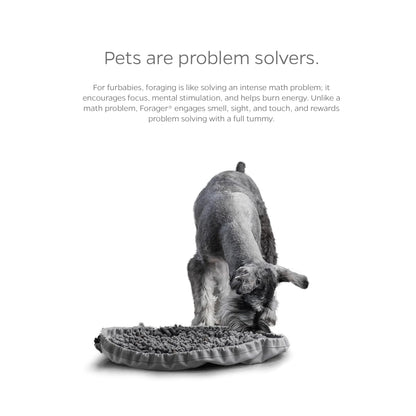 Pet Parents Forager Bowls, Slow Feeder Dog Bowls with SoftSnout Mat