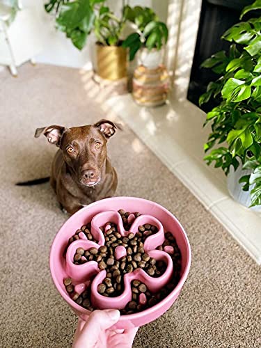 LE TAUCI Slow Feeder Dog Bowls Ceramic, 1.5 Cups Dog Food Bowl, Bowl