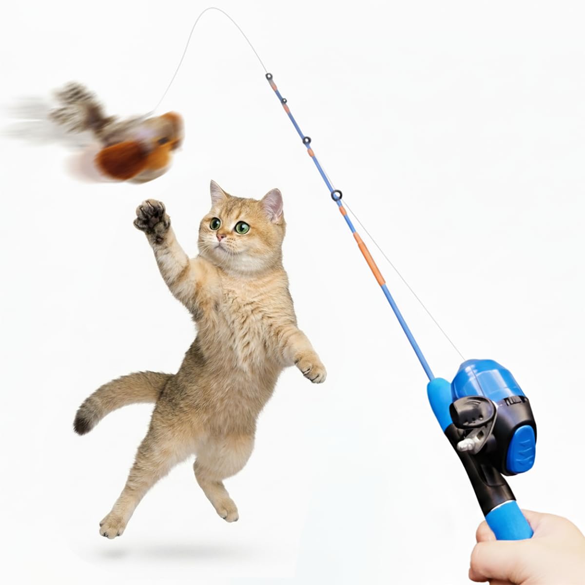 AGGER Cat Casting Fishing Pole Toy, Cat Casting Toy Set, Set