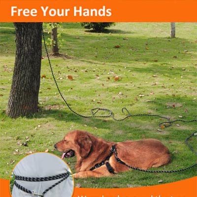 Extra Long Reflective Dog Leash for Training, Heavy Duty Leash