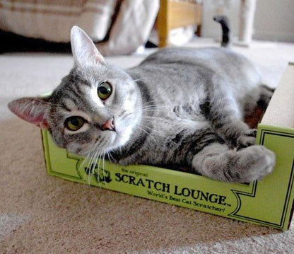The Original Scratch Lounge XL Worlds Best Cat Scratcher Scratcher