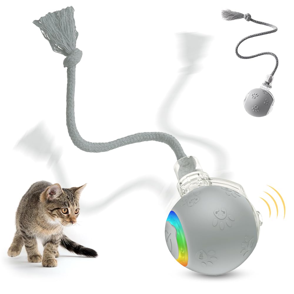 jitaty Interactive Cat Toys for Indoor Cats,Flying Bird Cat Ball