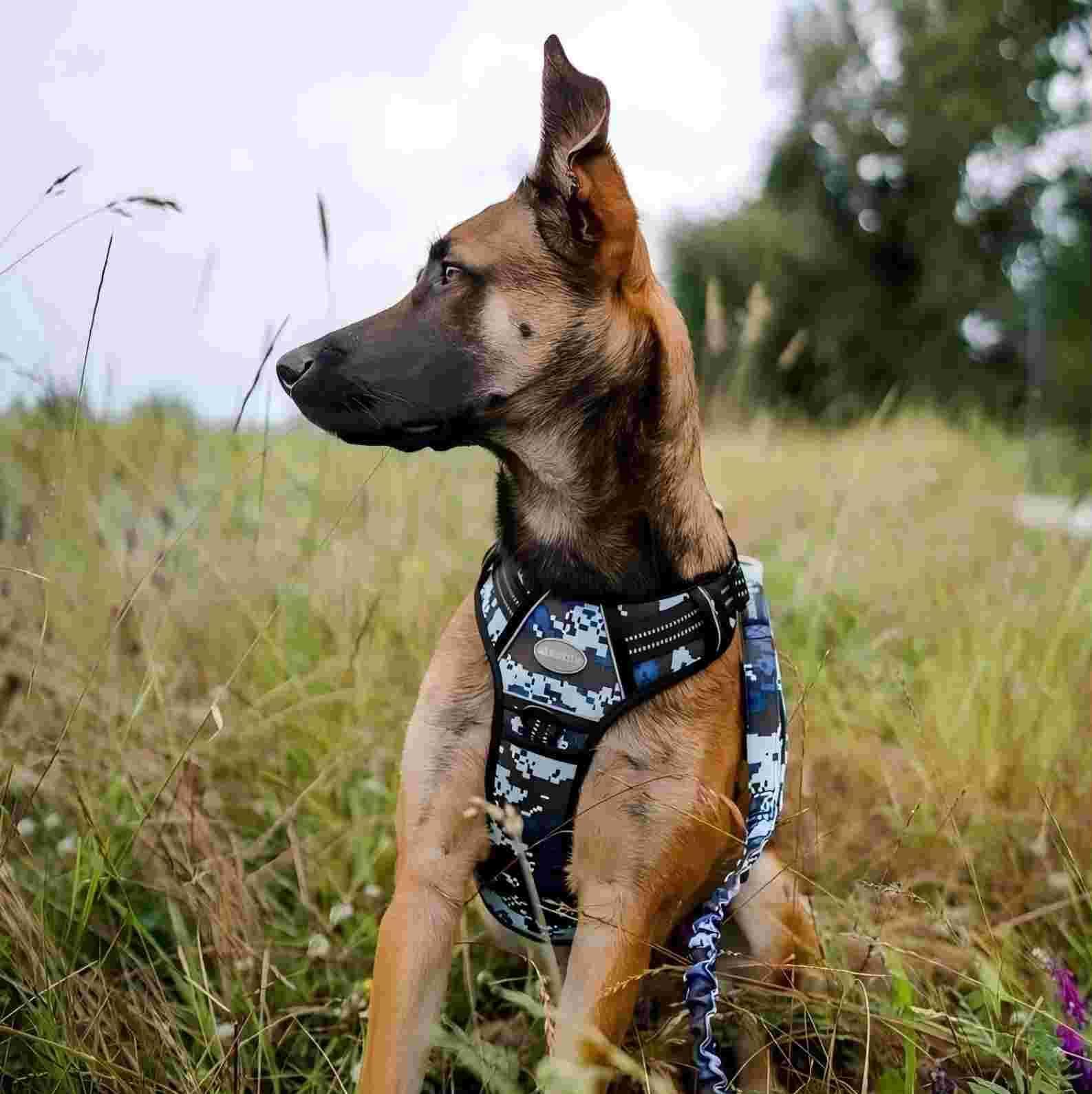Auroth Tactical Dog Training Harness No Pulling Front Clip Leash
