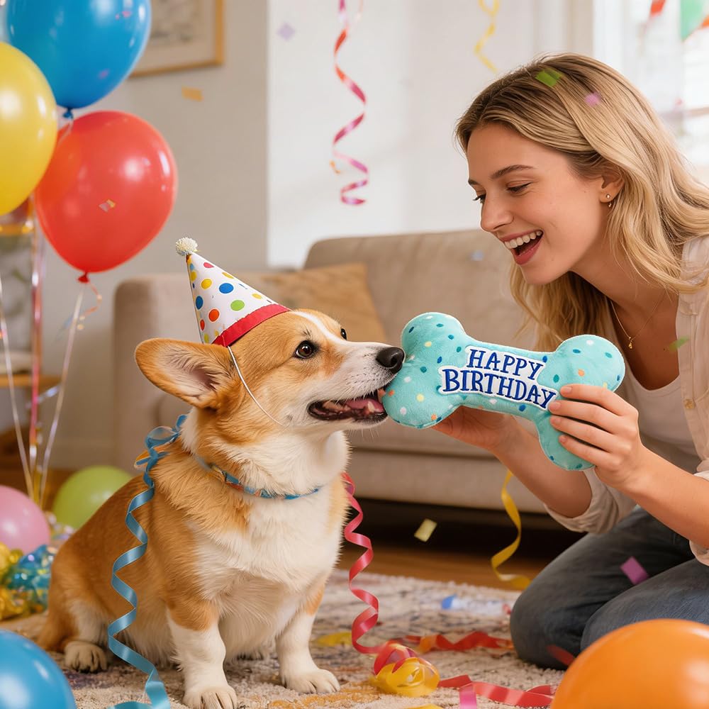 Prime Pets Dog Birthday Toys, 3 Pack, Crinkle Squeaky Dog Toys