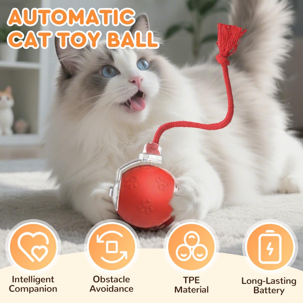 jitaty Interactive Cat Toys for Indoor Cats,Flying Bird Cat Ball
