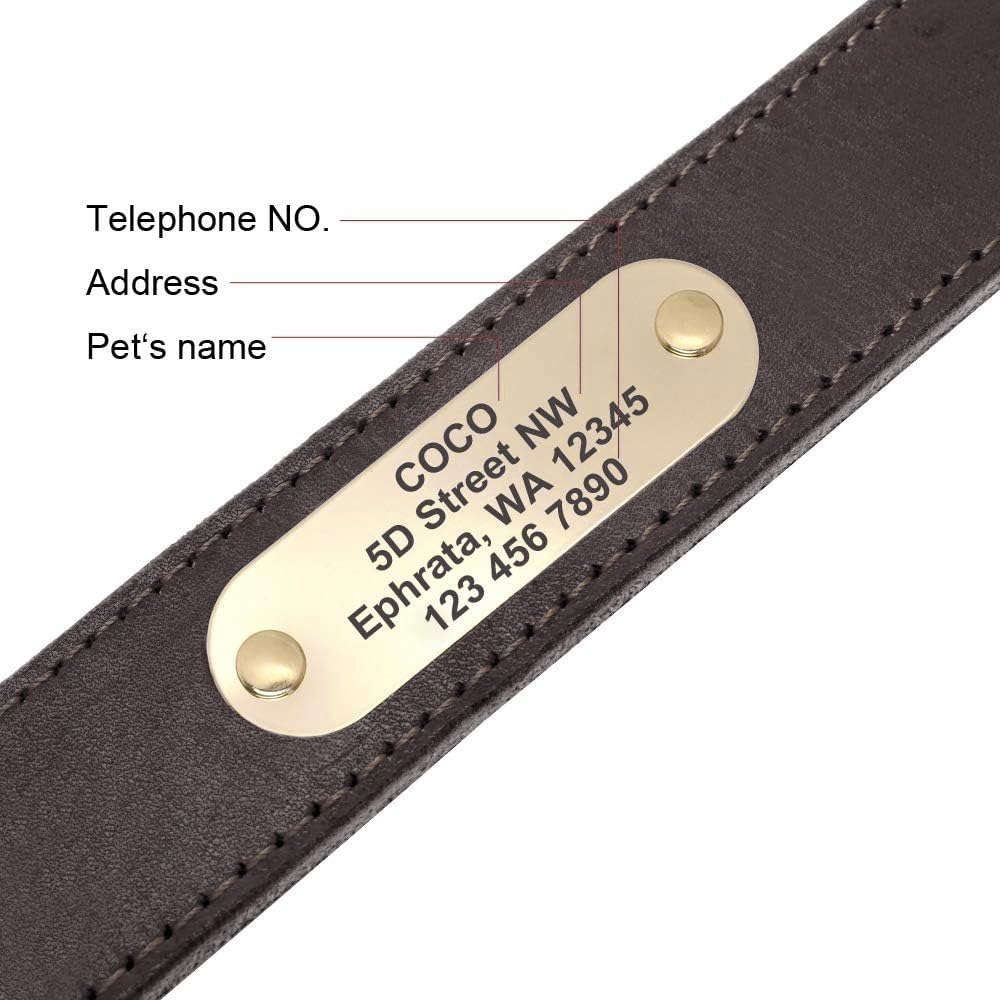 Didog Genuine Leather Dog Collars with Engraved Nameplate Collar