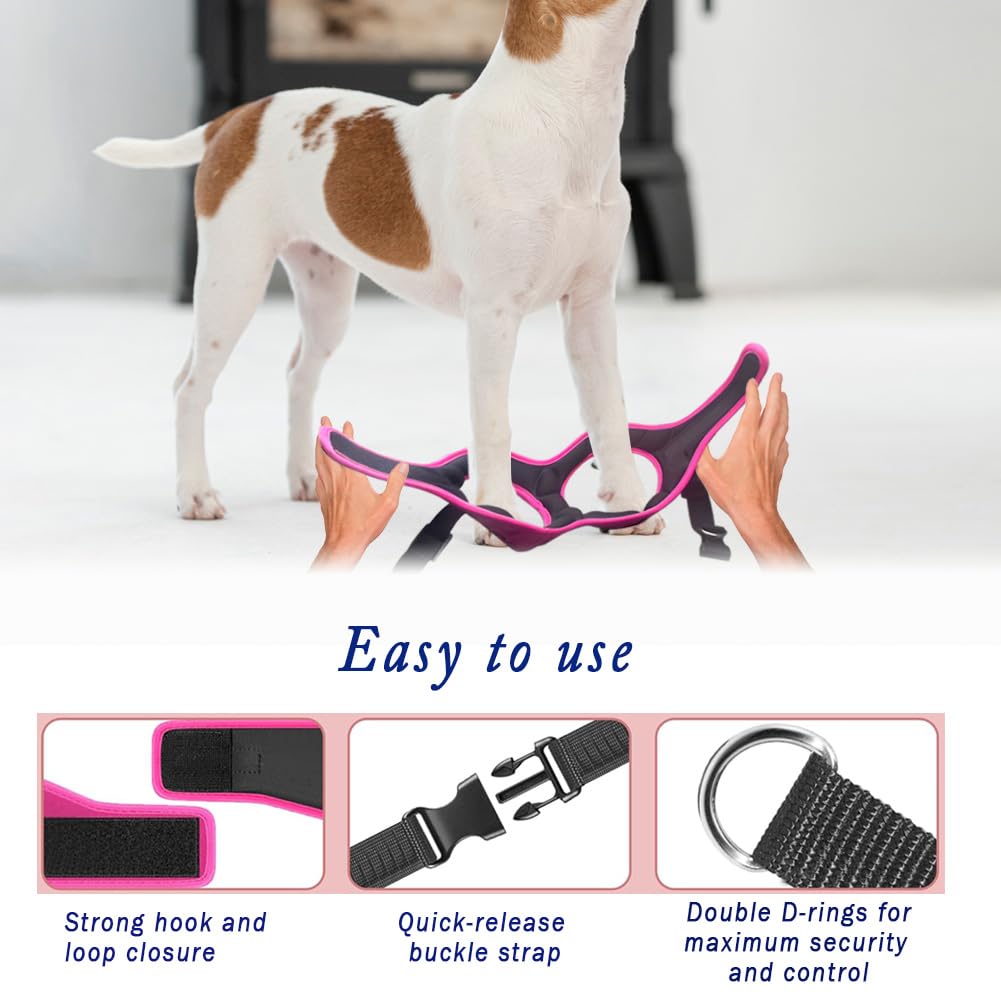 Comfort Fit Dog Harness Soft Padded No Pull Harness with Harness