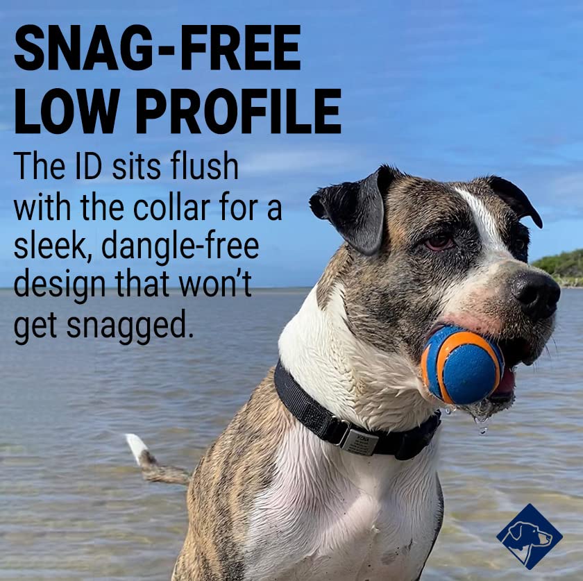 Personalized Dog Tags by ROAD iD, Silent Durable, Jingle-Free Collar