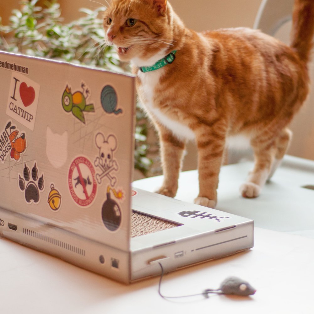 Suck UK Cat Laptop- Cat Scratching Board Cardboard Scratchers- Mat