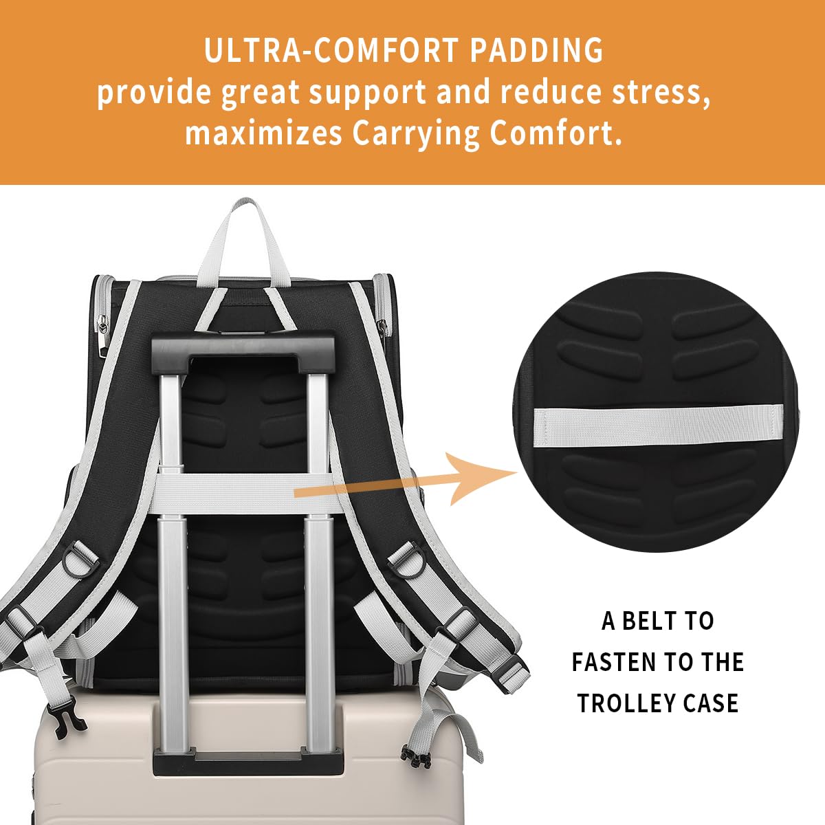 Cat Backpack Carrier for Small Dogs and Medium cat Puppy Carrier