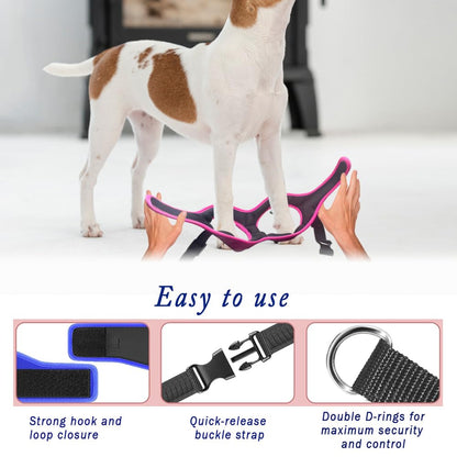 Comfort Fit No Pull Dog Harness Adjustable Step-in Vest