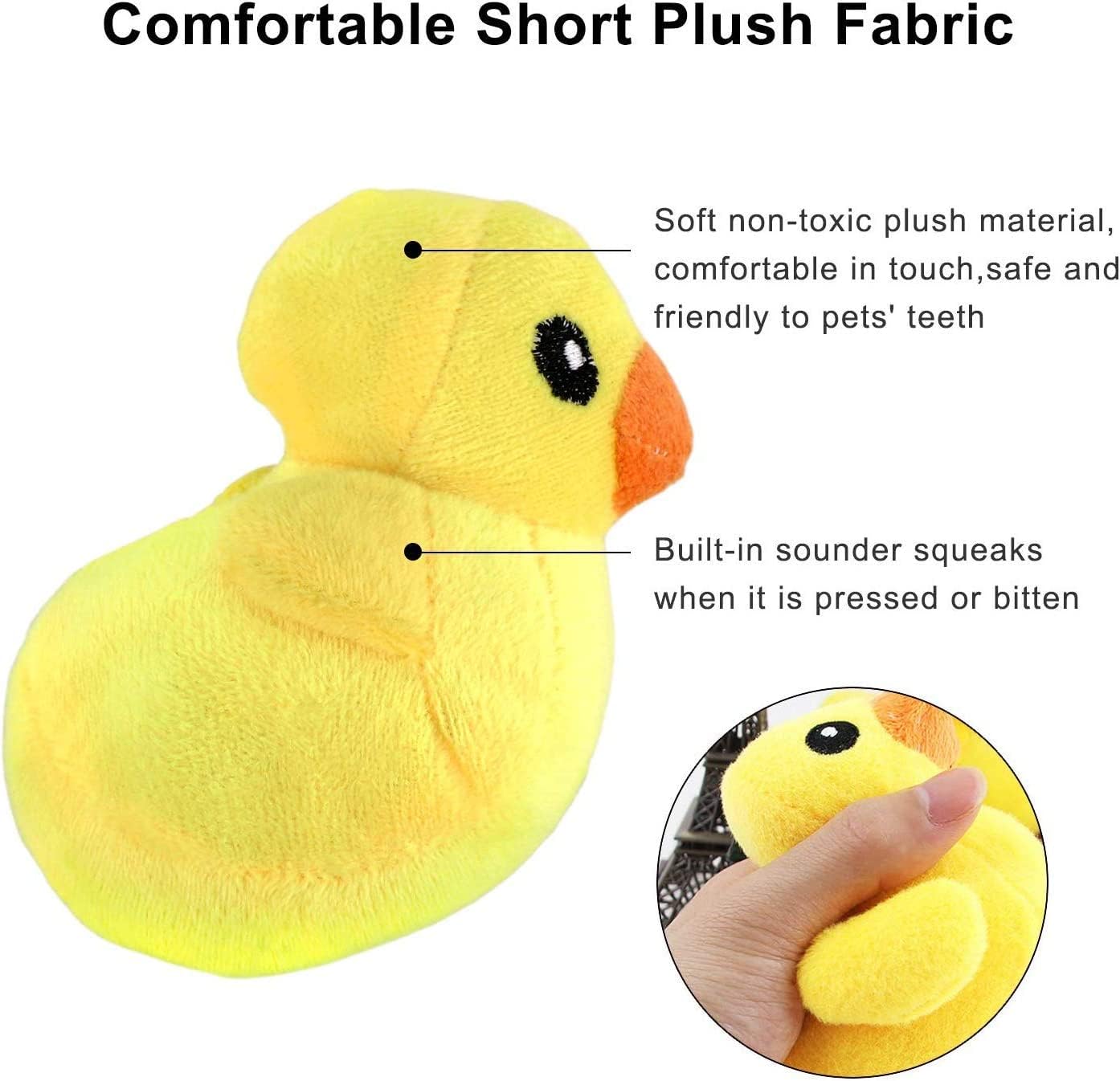 LEGEND SANDY Dog Squeaky Toys, Plush Small Dog Toys for Dogs, Plush