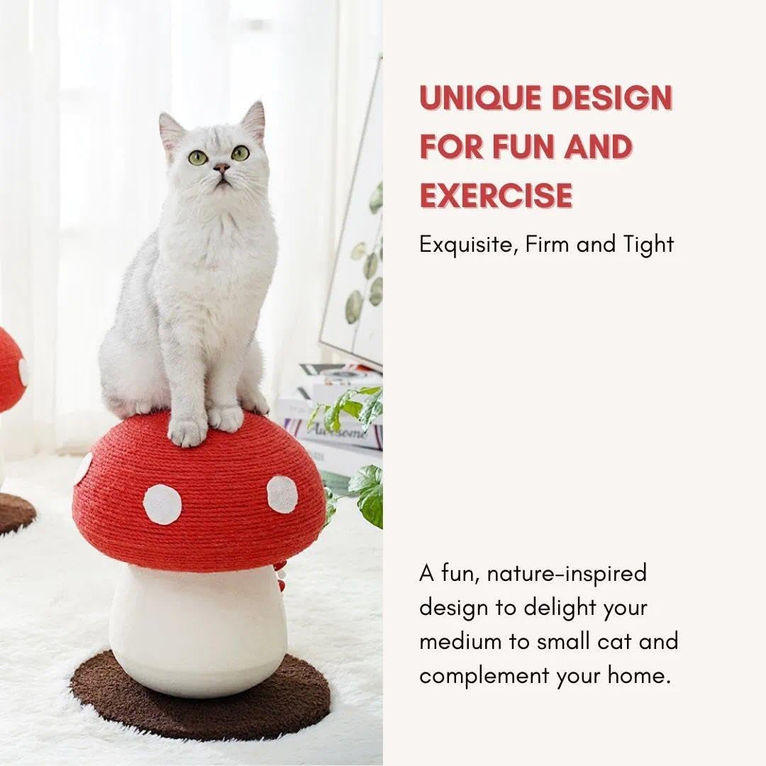No Assembly Required Mushroom Cat Scratcher, Cute Cat Scratching Toy