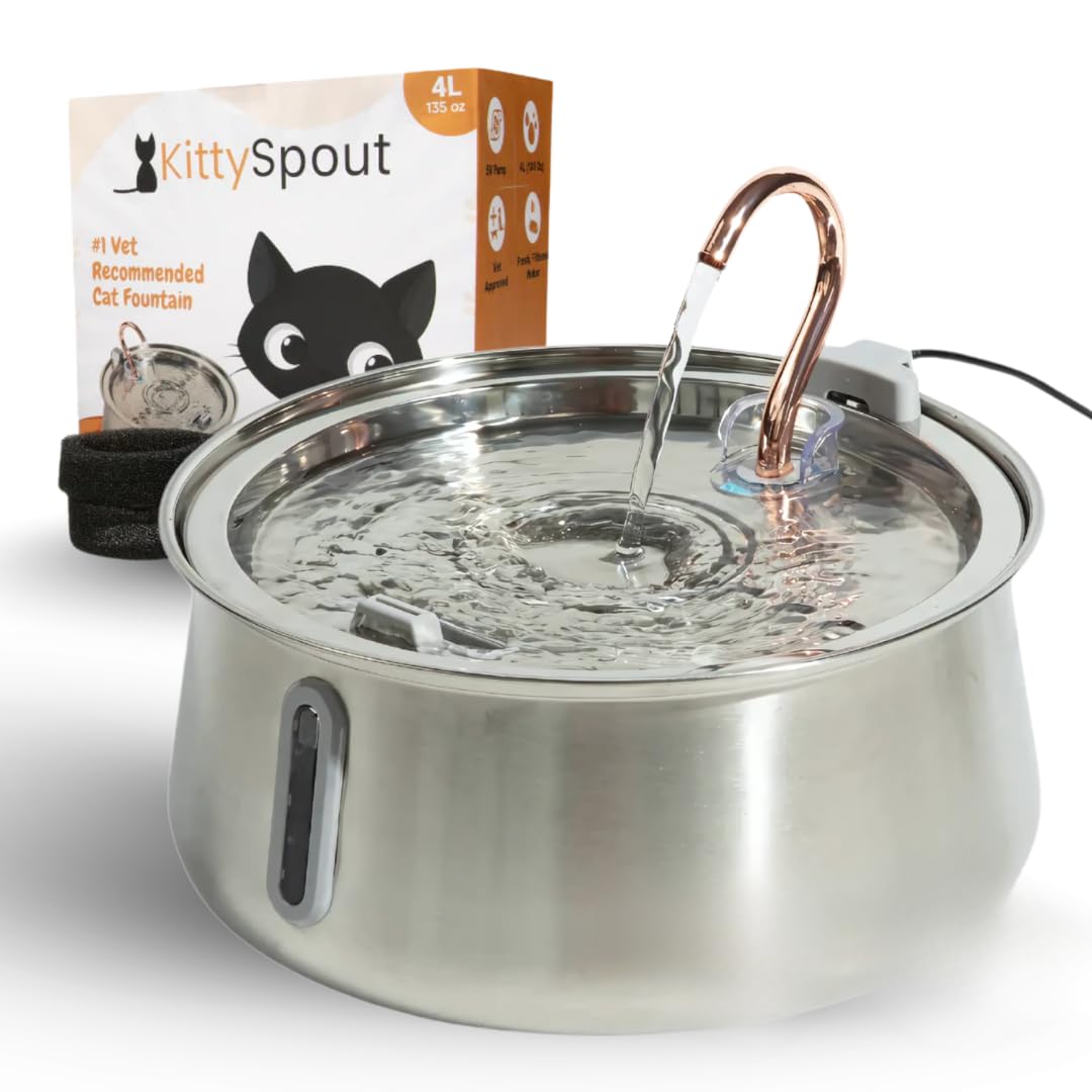KittySpout Stainless Steel Cat Water Fountain Automatic Drinking Bowl